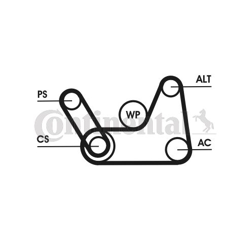 Keilrippenriemensatz CONTINENTAL CTAM 6PK1019 ELAST T1 f&uuml;r FORD MAZDA