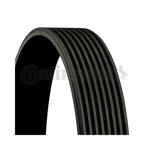 Keilrippenriemen CONTINENTAL CTAM 8PK1538 f&uuml;r VOLVO