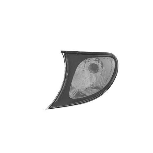 Blinkleuchte VAN WEZEL 0649909 f&uuml;r BMW, vorne links