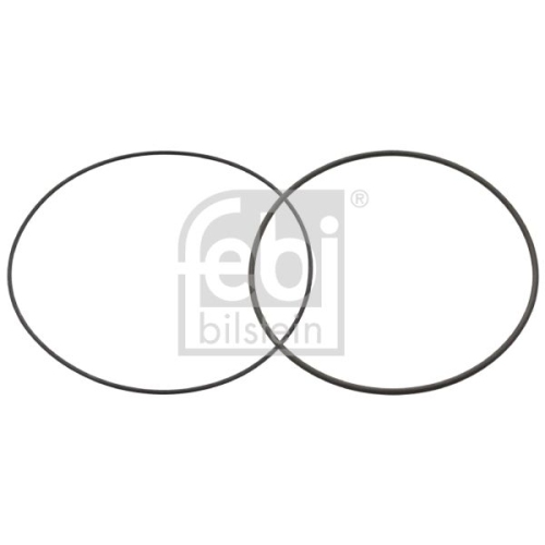 Febi Bilstein 49829 Dichtungssatz f&uuml;r Zylinderlaufbuchse , 1 St&uuml;ck