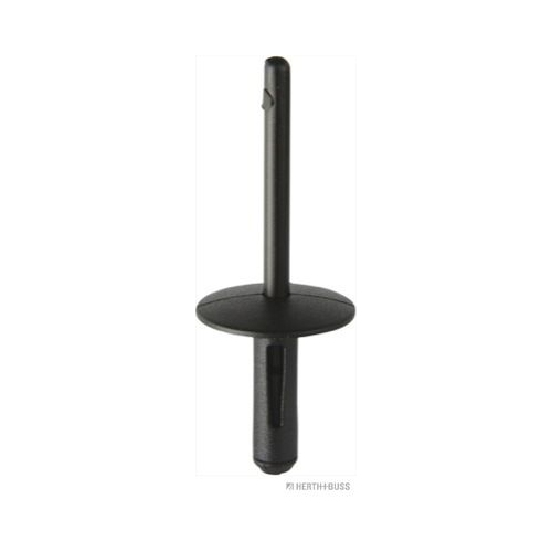 Blindniet HERTH+BUSS ELPARTS 50267039 f&uuml;r BMW, radseitig