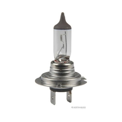 Gl&uuml;hlampe HERTH+BUSS ELPARTS 89901295