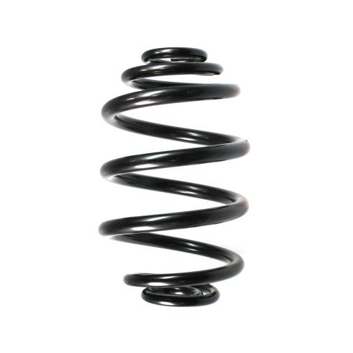 Fahrwerksfeder SPIDAN 49164 f&uuml;r BMW, Hinterachse