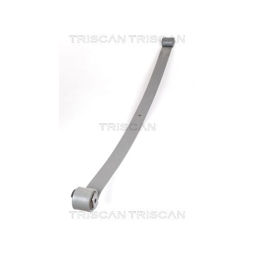 Federnpaket TRISCAN 8765 10001 f&uuml;r CITRO&Euml;N FIAT PEUGEOT, Hinterachse