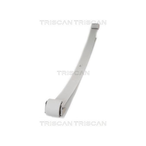 Federnpaket TRISCAN 8765 28005 f&uuml;r CITRO&Euml;N FIAT PEUGEOT, Hinterachse