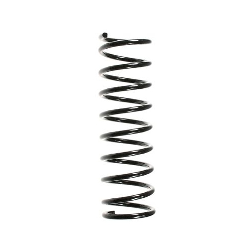 Fahrwerksfeder SPIDAN 49326 f&uuml;r FORD MAZDA, Hinterachse