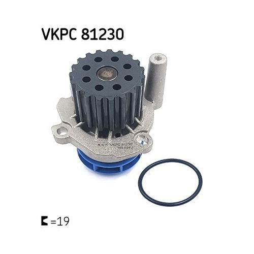 Wasserpumpe SKF VKPC 81230 f&uuml;r AUDI CHRYSLER FORD MITSUBISHI SEAT SKODA VW JEEP