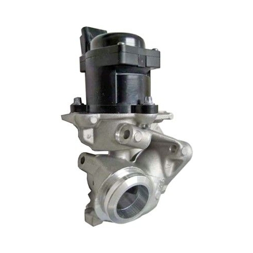 AGR-Ventil HELLA 6NU 010 171-091 f&uuml;r FORD