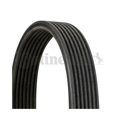 Keilrippenriemen CONTINENTAL CTAM 7DPK1697 f&uuml;r BMW