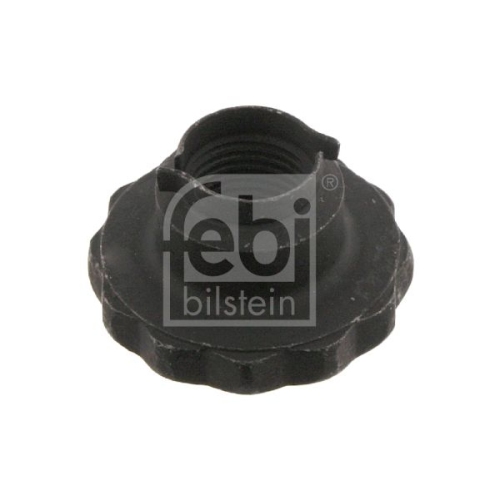 Febi Bilstein 46689 Achsmutter , 1 St&uuml;ck