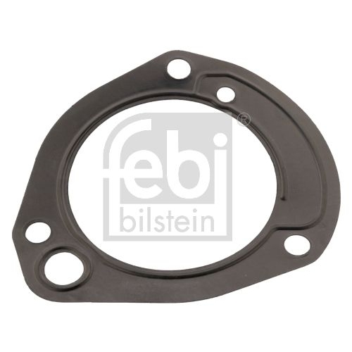 Febi Bilstein 171325 Dichtung f&uuml;r Kraftstoffpumpe, 1 St&uuml;ck