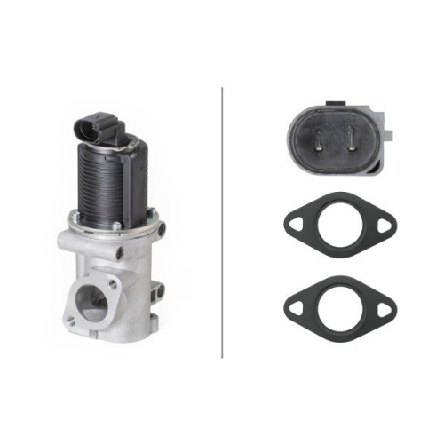 AGR-Ventil HELLA 6NU 010 171-541 f&uuml;r ALFA ROMEO FIAT OPEL SAAB SUZUKI VAUXHALL