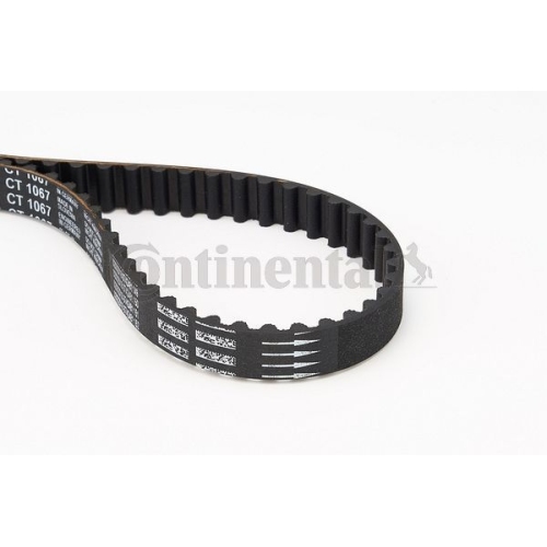 Zahnriemen CONTINENTAL CTAM CT1067 f&uuml;r CITRO&Euml;N FIAT PEUGEOT
