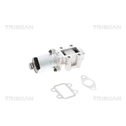 AGR-Ventil TRISCAN 8813 13101 f&uuml;r TOYOTA