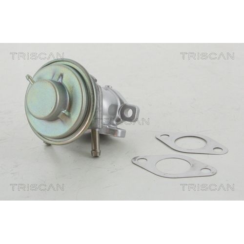AGR-Ventil TRISCAN 8813 15029 f&uuml;r FIAT IVECO