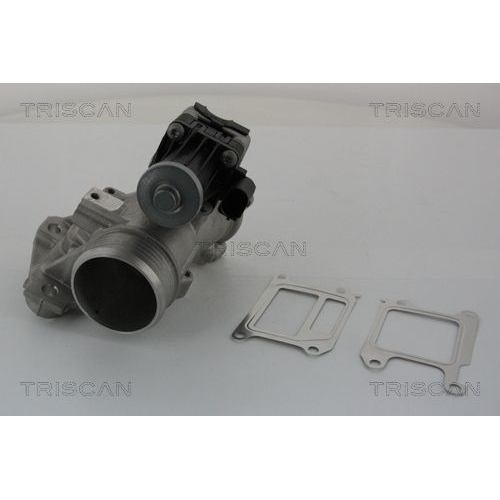 AGR-Ventil TRISCAN 8813 27102 f&uuml;r VOLVO