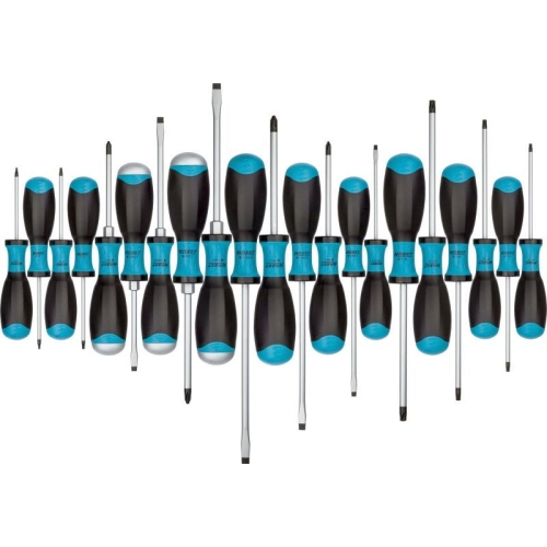 Schraubendrehersatz HAZET 810SPC/21 f&uuml;r