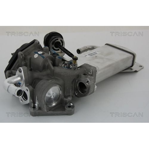 AGR-Ventil TRISCAN 8813 29303 f&uuml;r AUDI VW