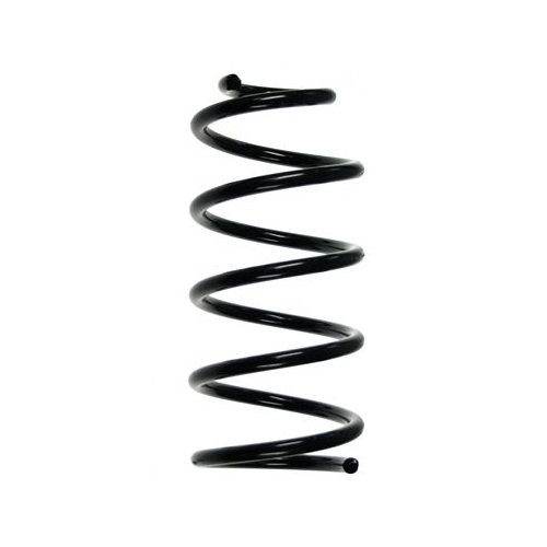 Fahrwerksfeder SPIDAN 55274 f&uuml;r FIAT, Hinterachse