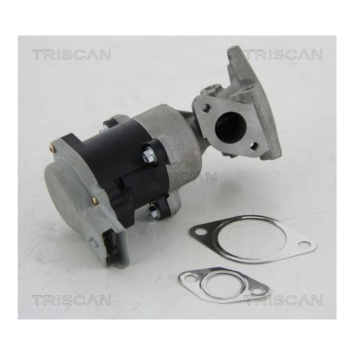 AGR-Ventil TRISCAN 8813 10008 f&uuml;r CITRO&Euml;N JAGUAR PEUGEOT LAND ROVER, hinten