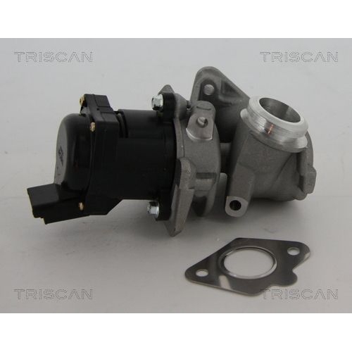 AGR-Ventil TRISCAN 8813 10010 f&uuml;r BMW CITRO&Euml;N FIAT FORD MAZDA PEUGEOT VOLVO MINI