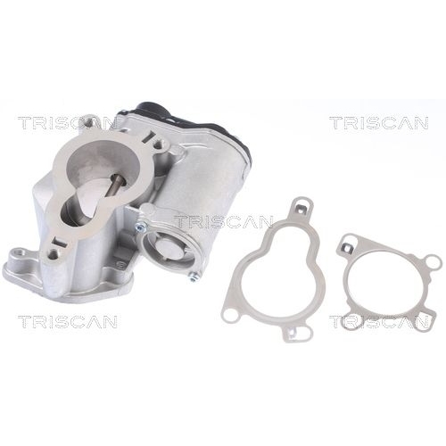 AGR-Ventil TRISCAN 8813 14025 f&uuml;r NISSAN
