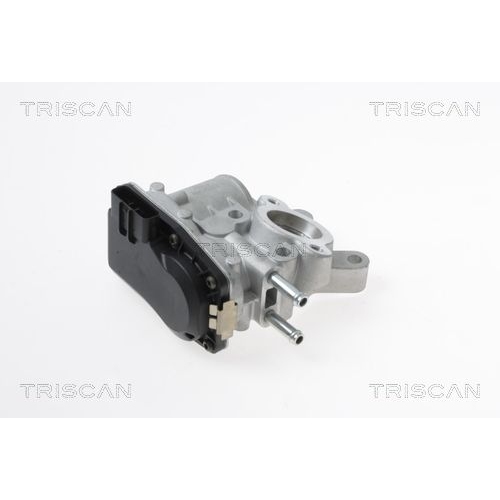 AGR-Ventil TRISCAN 8813 14100 f&uuml;r NISSAN