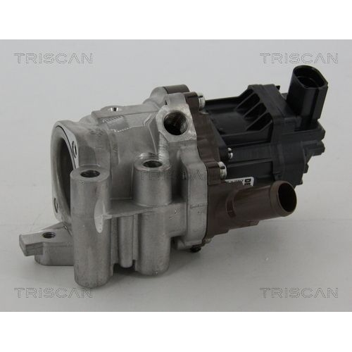 AGR-Ventil TRISCAN 8813 15207 f&uuml;r FIAT IVECO