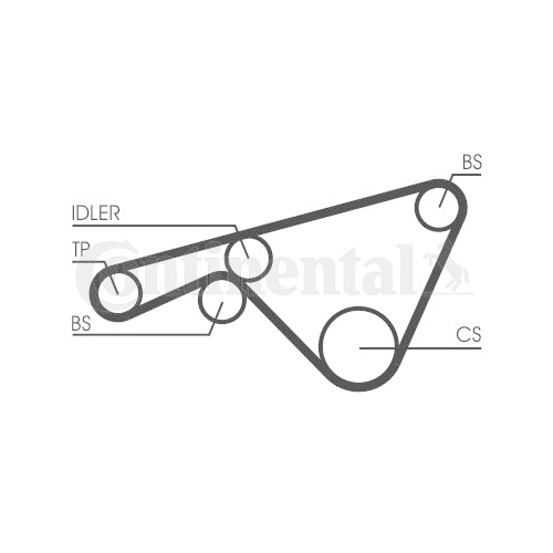 Zahnriemen CONTINENTAL CTAM CT925 f&uuml;r PORSCHE