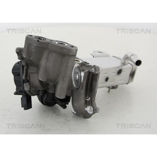 AGR-Ventil TRISCAN 8813 16014 f&uuml;r CITRO&Euml;N FIAT FORD PEUGEOT VOLVO