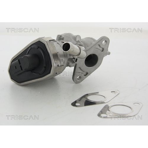 AGR-Ventil TRISCAN 8813 16100 f&uuml;r FORD
