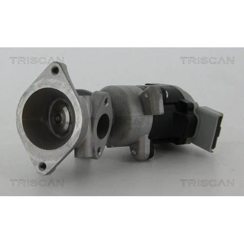 AGR-Ventil TRISCAN 8813 17020 f&uuml;r LAND ROVER, links