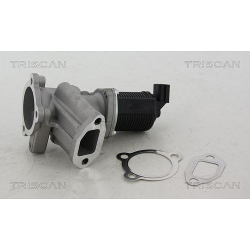 AGR-Ventil TRISCAN 8813 24012 f&uuml;r FIAT LANCIA OPEL VAUXHALL