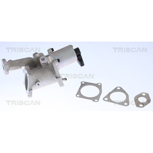 AGR-Ventil TRISCAN 8813 24022 f&uuml;r OPEL VAUXHALL