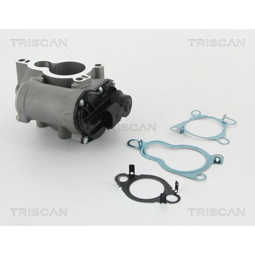 AGR-Ventil TRISCAN 8813 25010 f&uuml;r RENAULT