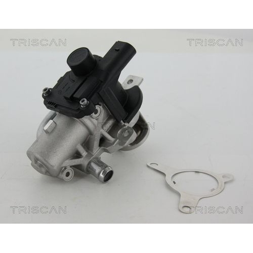AGR-Ventil TRISCAN 8813 25039 f&uuml;r NISSAN RENAULT DACIA, links, oben, unten