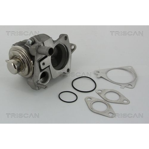 AGR-Ventil TRISCAN 8813 28019 f&uuml;r CITRO&Euml;N FIAT IVECO PEUGEOT