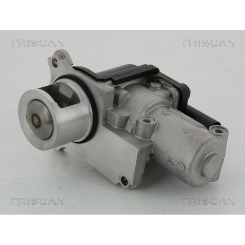 AGR-Ventil TRISCAN 8813 29002 f&uuml;r AUDI SEAT SKODA VW