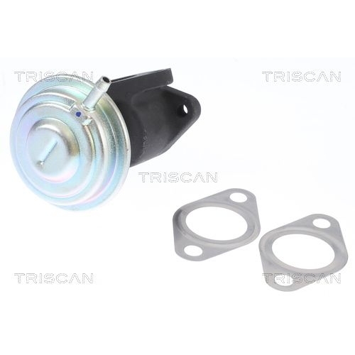 AGR-Ventil TRISCAN 8813 29016 f&uuml;r AUDI SKODA VW
