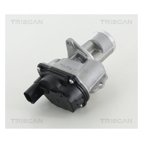 AGR-Ventil TRISCAN 8813 29065 f&uuml;r AUDI PORSCHE VW