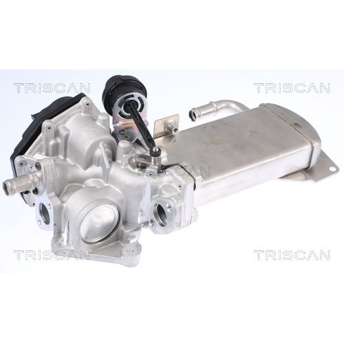 AGR-Ventil TRISCAN 8813 29306 f&uuml;r AUDI SEAT VW
