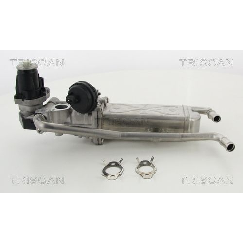 AGR-Ventil TRISCAN 8813 29325 f&uuml;r AUDI