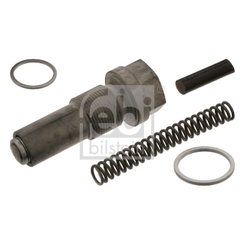 Febi Bilstein 01440 Kettenspanner f&uuml;r Steuerkette, mit Dichtung , 1 St&uuml;ck