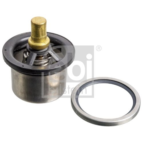 Thermostat, K&uuml;hlmittel FEBI BILSTEIN 176650 f&uuml;r DAF