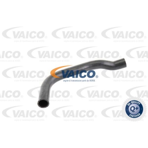 K&uuml;hlerschlauch VAICO V10-0056 Q+, Erstausr&uuml;sterqualit&auml;t f&uuml;r AUDI SEAT SKODA VW