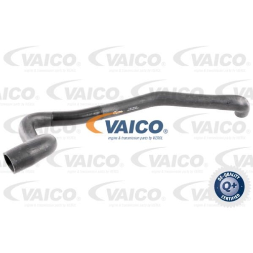 K&uuml;hlerschlauch VAICO V10-4650 Q+, Erstausr&uuml;sterqualit&auml;t f&uuml;r AUDI SEAT SKODA VW