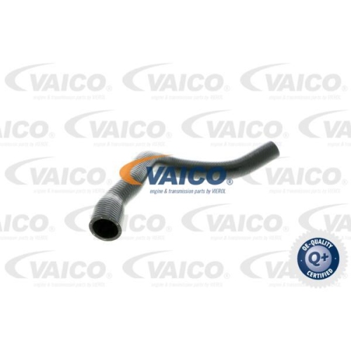 K&uuml;hlerschlauch VAICO V20-0145 Q+, Erstausr&uuml;sterqualit&auml;t f&uuml;r BMW