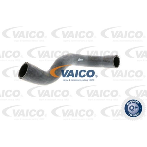 K&uuml;hlerschlauch VAICO V20-1235 Q+, Erstausr&uuml;sterqualit&auml;t f&uuml;r BMW, unten