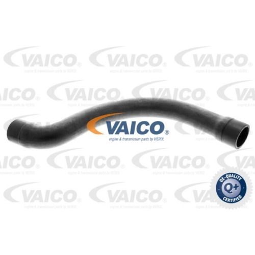 K&uuml;hlerschlauch VAICO V20-1252 Q+, Erstausr&uuml;sterqualit&auml;t f&uuml;r BMW, oben