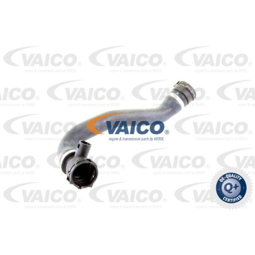 K&uuml;hlerschlauch VAICO V20-1285 Q+, Erstausr&uuml;sterqualit&auml;t f&uuml;r BMW